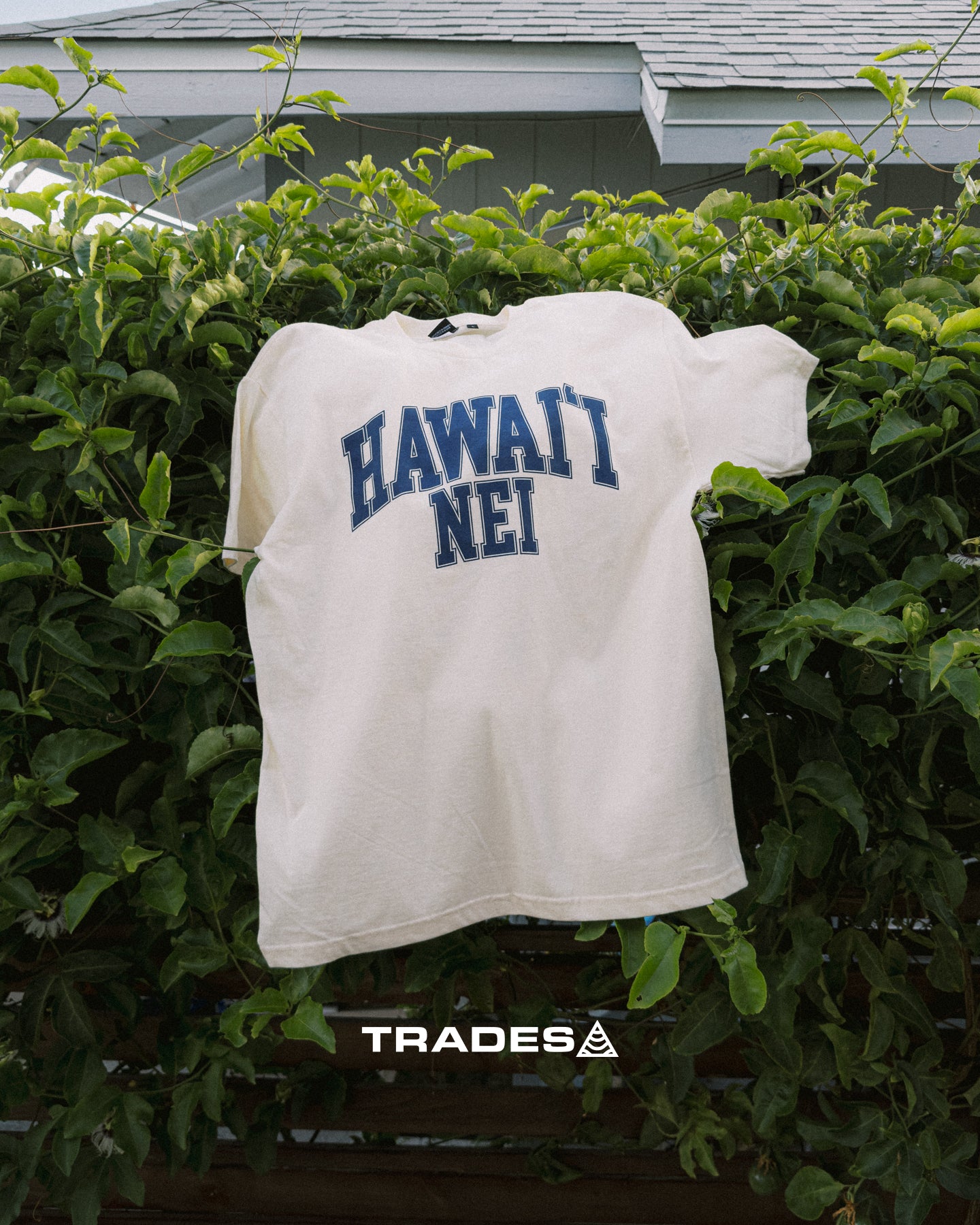 Hawaiʻi Nei Tee